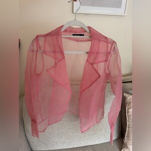 Boohoo Pink Sheer Blouse